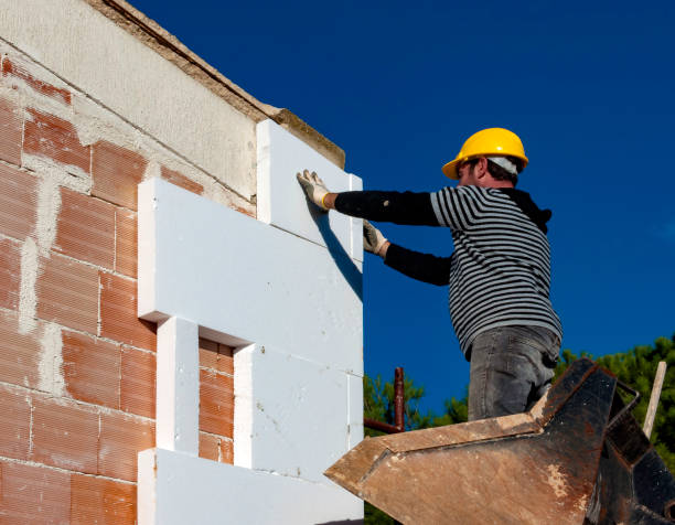 Best Insulation Installation Services in Ponce Inlet, FL