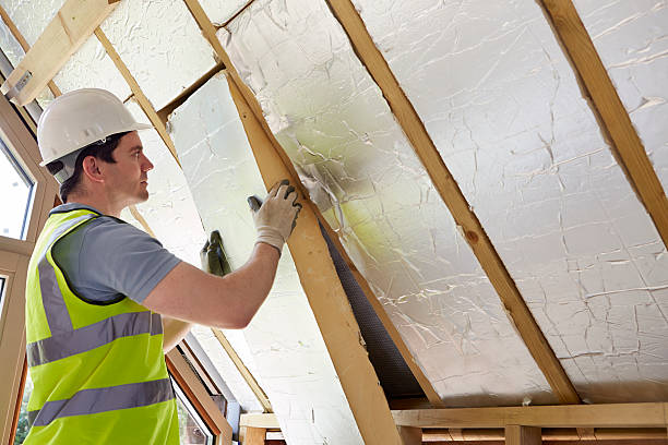 Best Insulation Maintenance and Repair in Ponce Inlet, FL